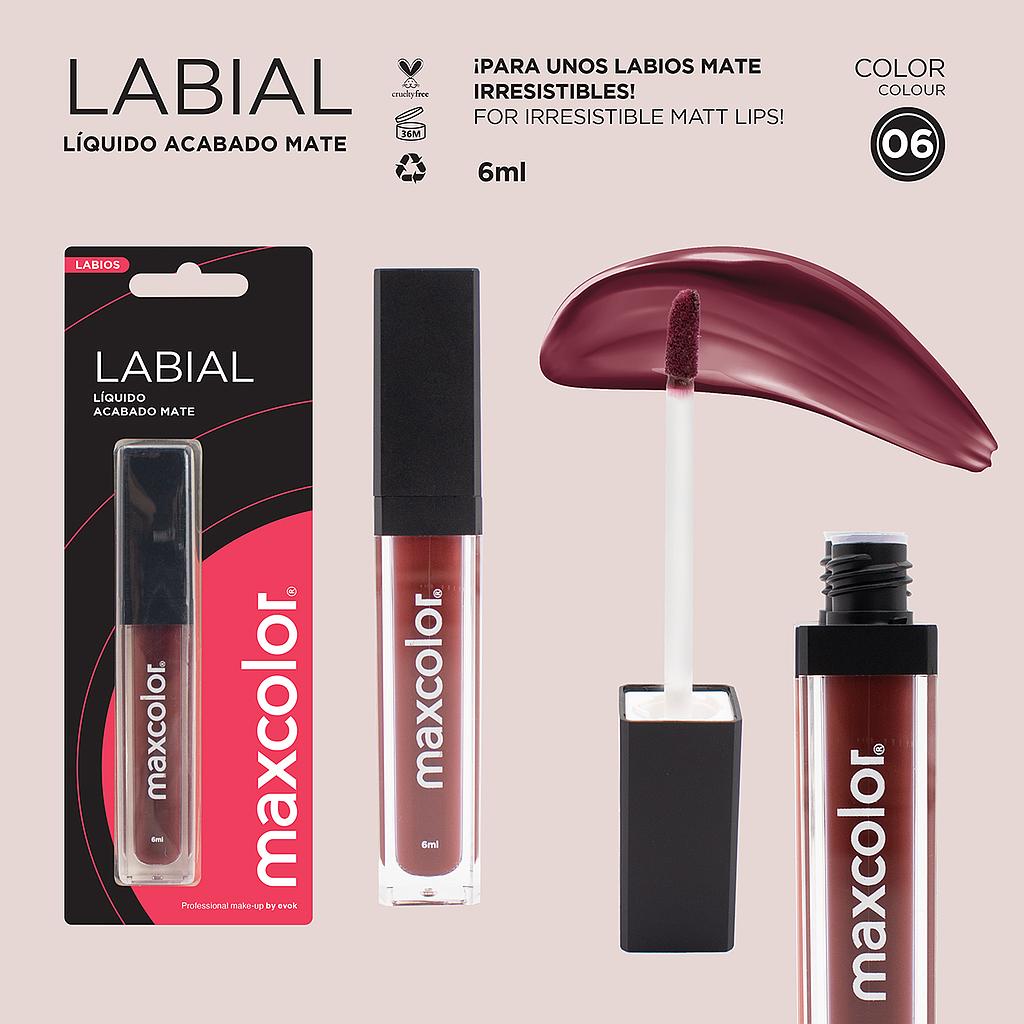 LABIAL LIQUIDO MATTE 06 MAXCOLOR