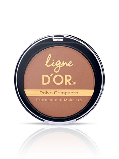 [LD70096-0247] POLVO COMPACTO GOLDEN 14 G 